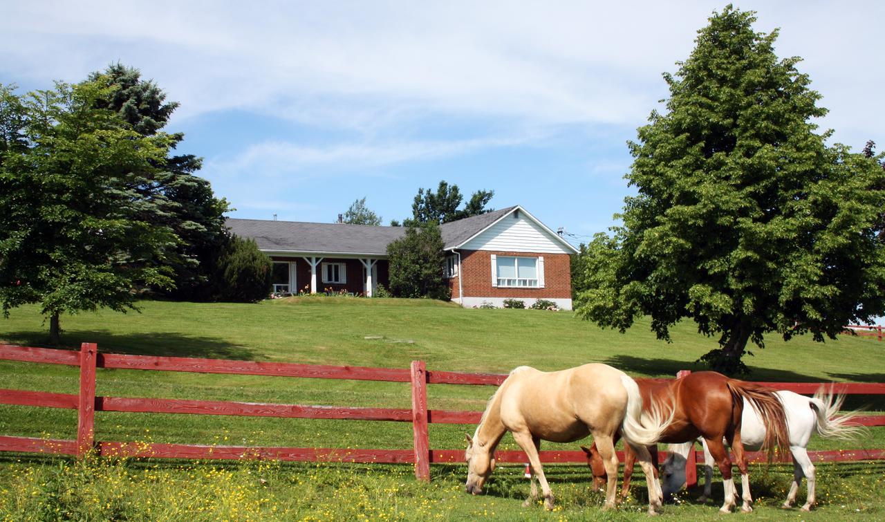 Bed and Breakfast Ranch St-Hubert Saint-Hermenegilde Exterior foto